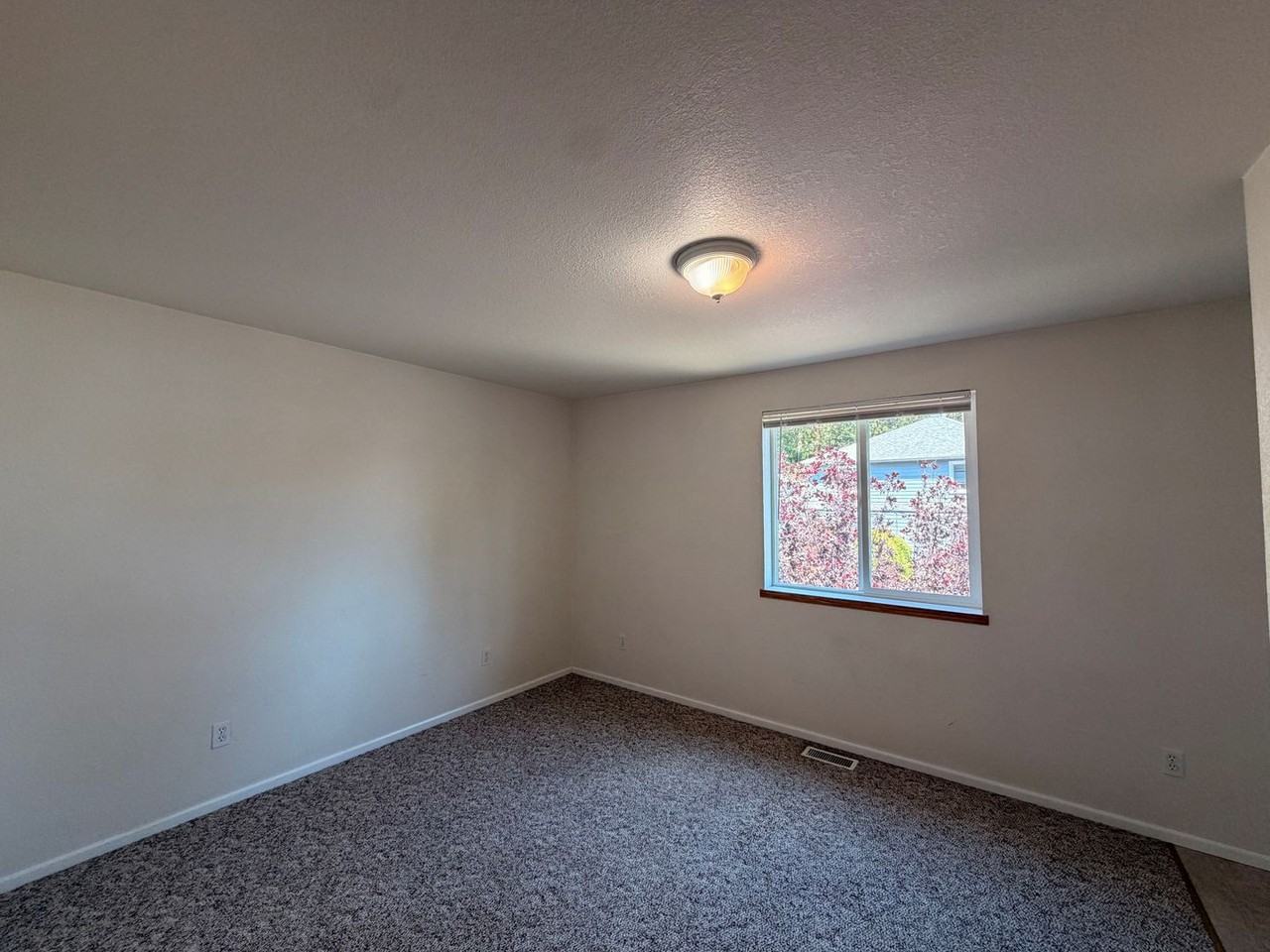 will01 - Photo 7 of 10