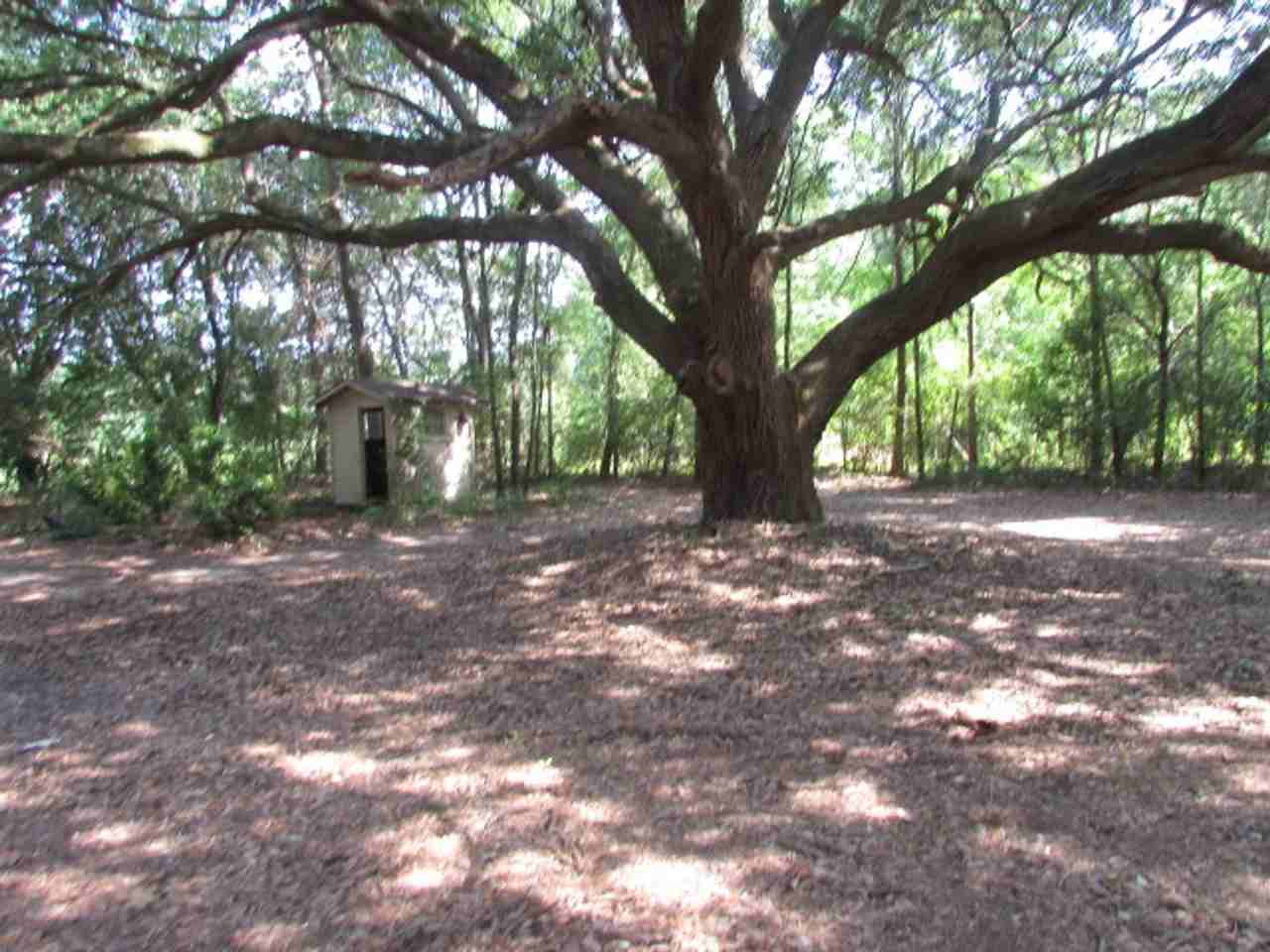 5855 Cane Savannah Rd - Photo 3 of 15