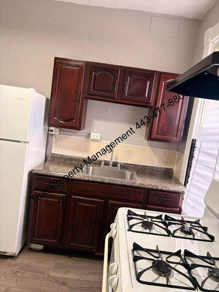 1938 W Lexington St - Photo 6 of 12