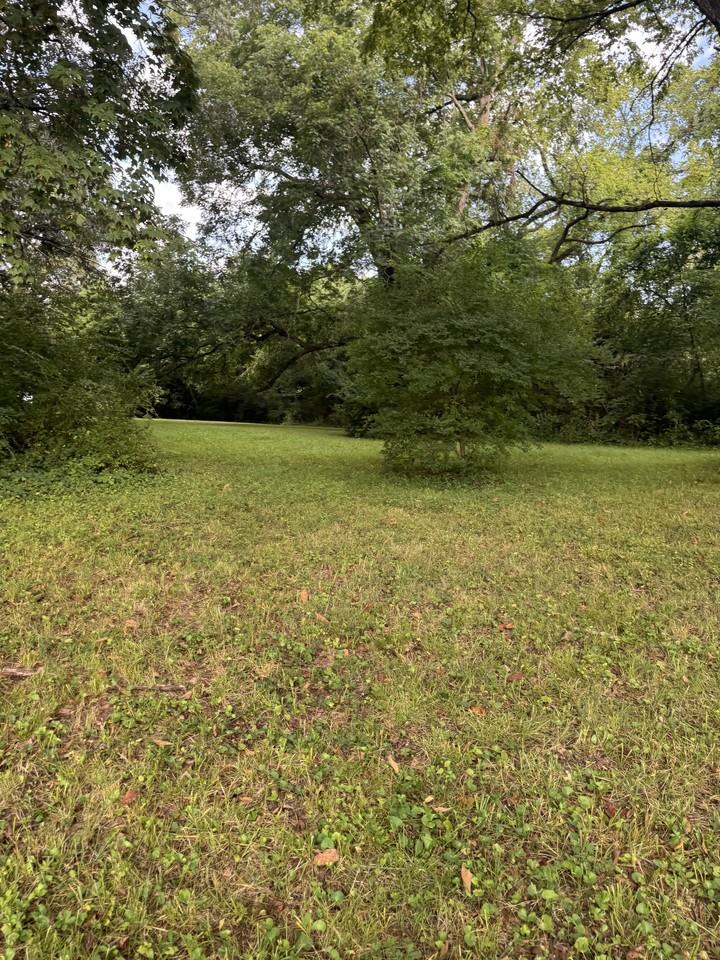 2911 Brooks Ave - Photo 4 of 11