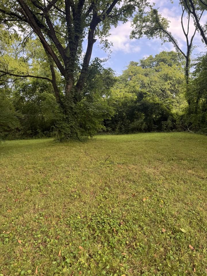2911 Brooks Ave - Photo 5 of 11
