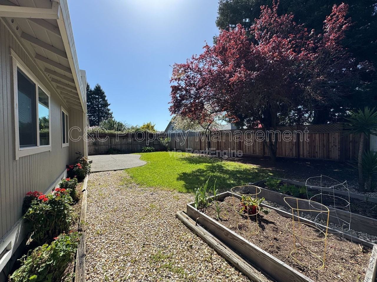 1663 Calle Ranchero - Photo 4 of 16