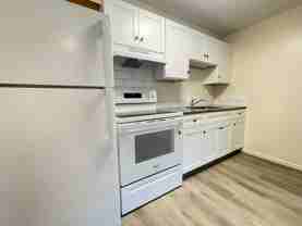 181 Loudon Rd #203 - Photo 1 of 1