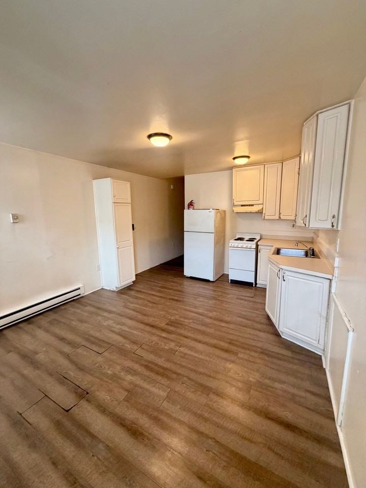 517 N Front St #1 - Photo 3 of 10
