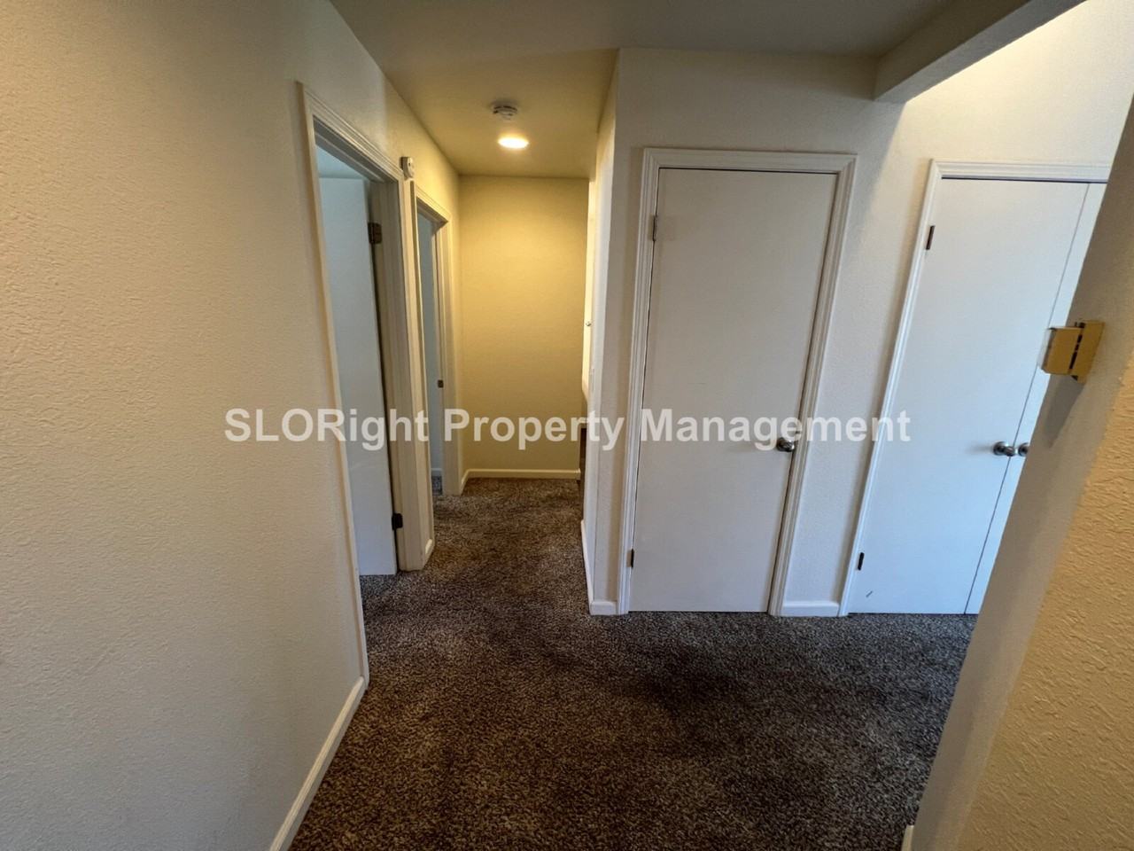 1021 Southwood Dr - Photo 5 of 20