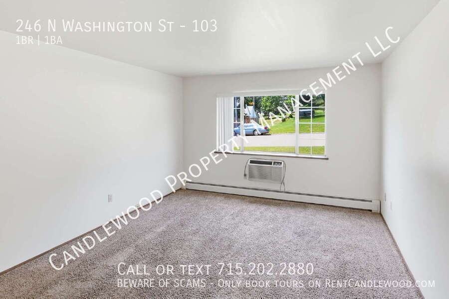 246 N Washington St #103 - Photo 4 of 11
