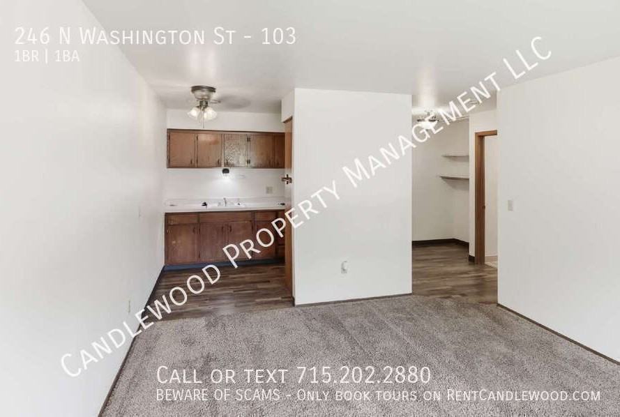 246 N Washington St #103 - Photo 5 of 11