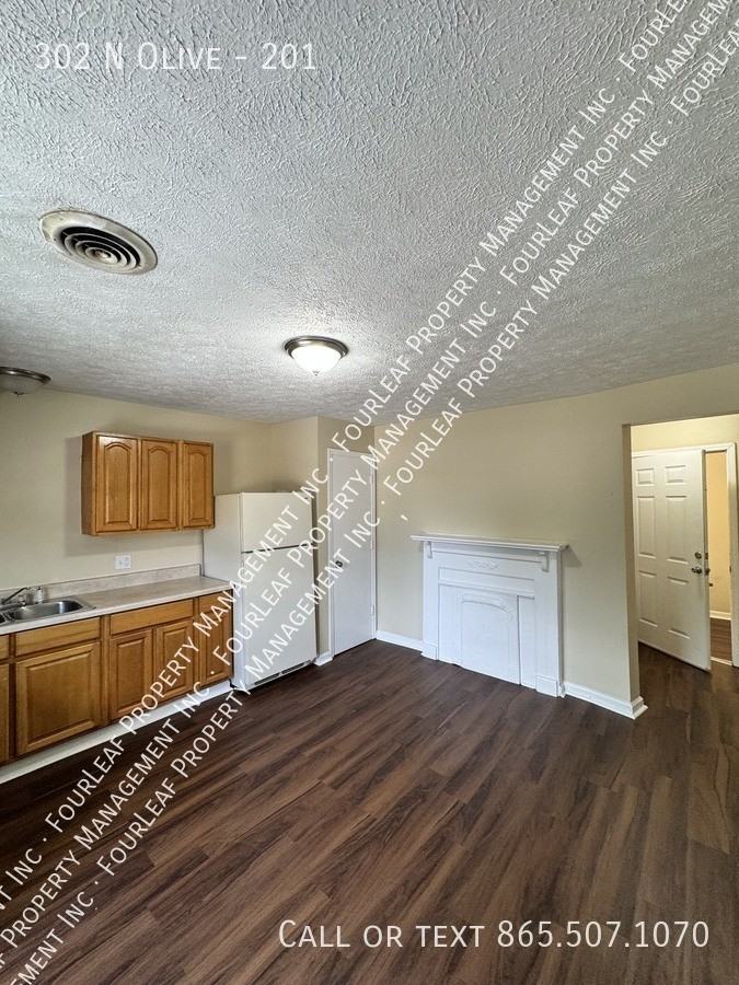 302 N Olive St #201 - Photo 4 of 11