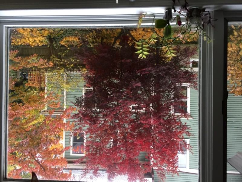 35 Boylston St - Photo 5 of 16