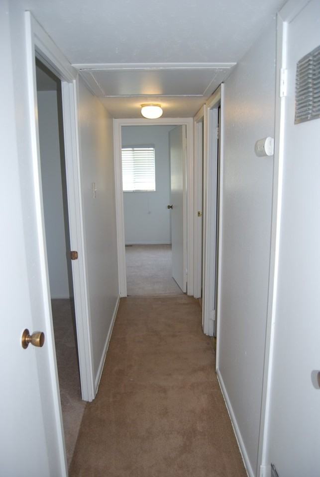 7712 Colony Ln - Photo 7 of 19