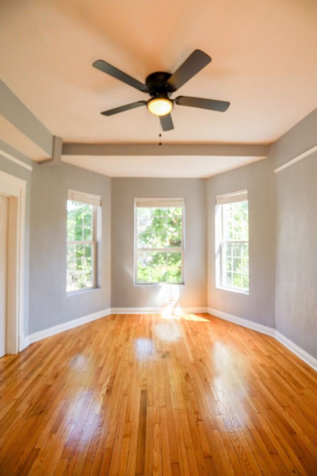 3525 W Dickens Ave #2 - Photo 5 of 14