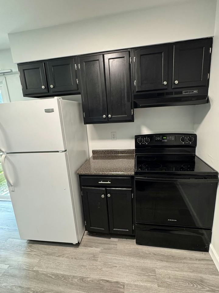 4167 West Ridge Road, Unit 1 - Photo 5 of 32