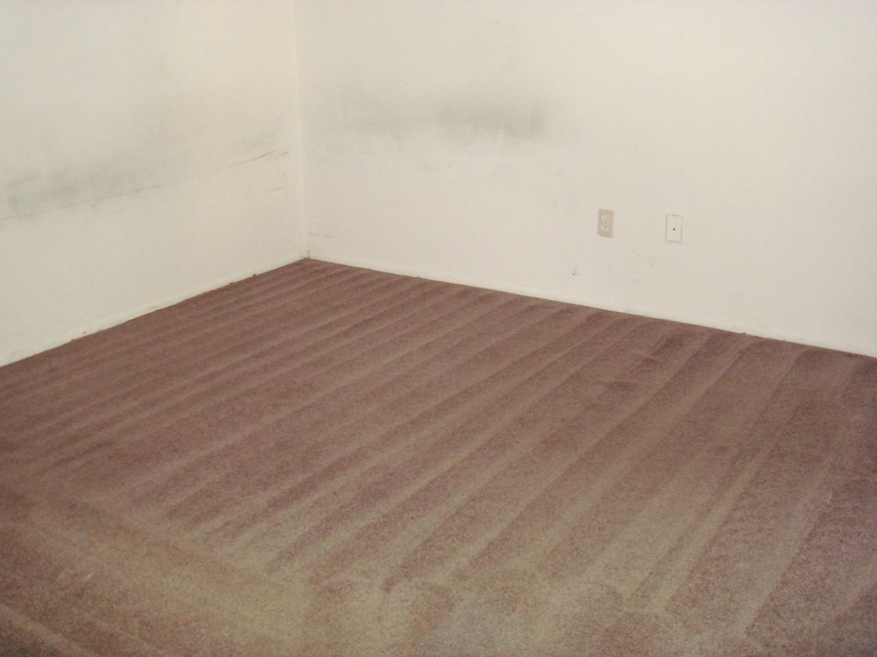 52 Pine Trak Unit 103g - Photo 5 of 8
