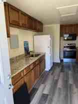 36455 Buckeye St #1 - Photo 1 of 1