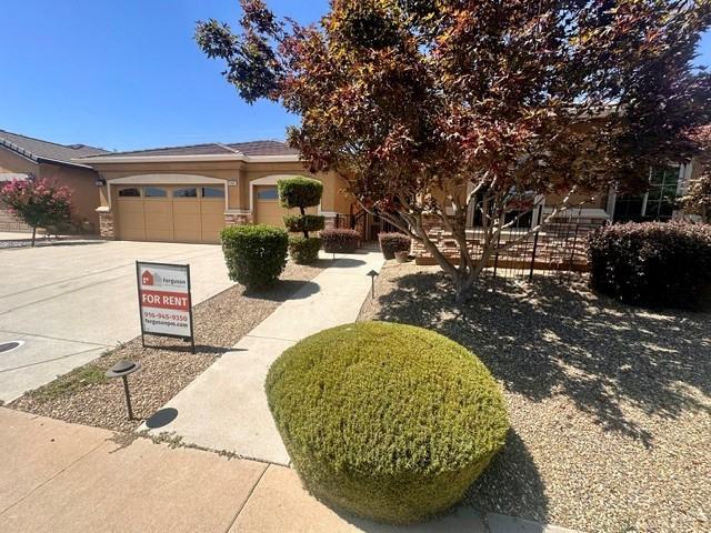 12425 Kibbie Lake Way - Photo 2 of 23