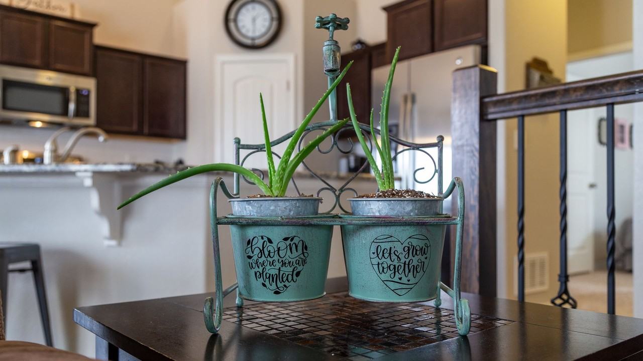 8141 Misty Moon Dr - Photo 4 of 34