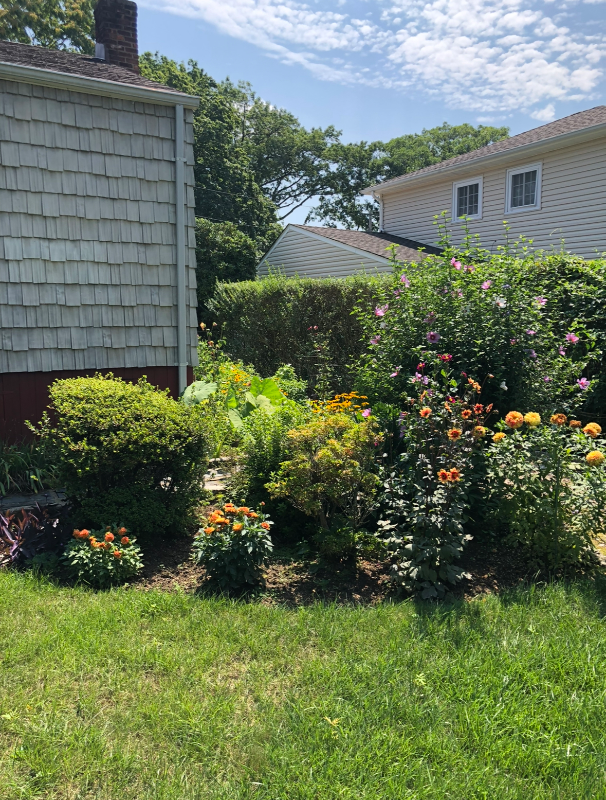 278 Marie Ct - Photo 4 of 13