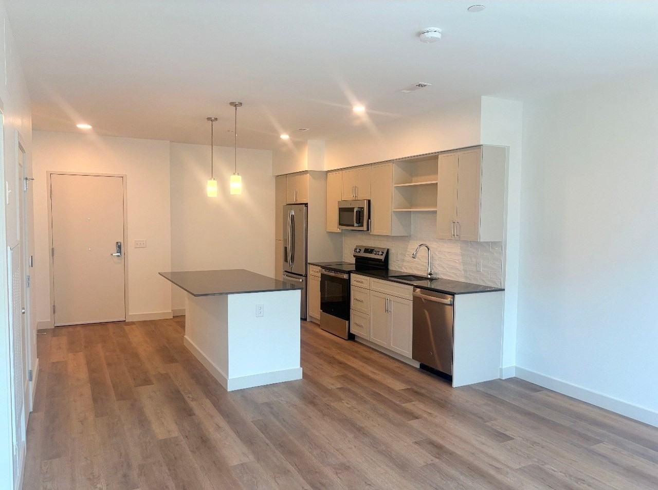 266 Canal St #2410 - Photo 3 of 15