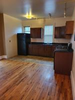 featured image of 376 Pearl St #REAR