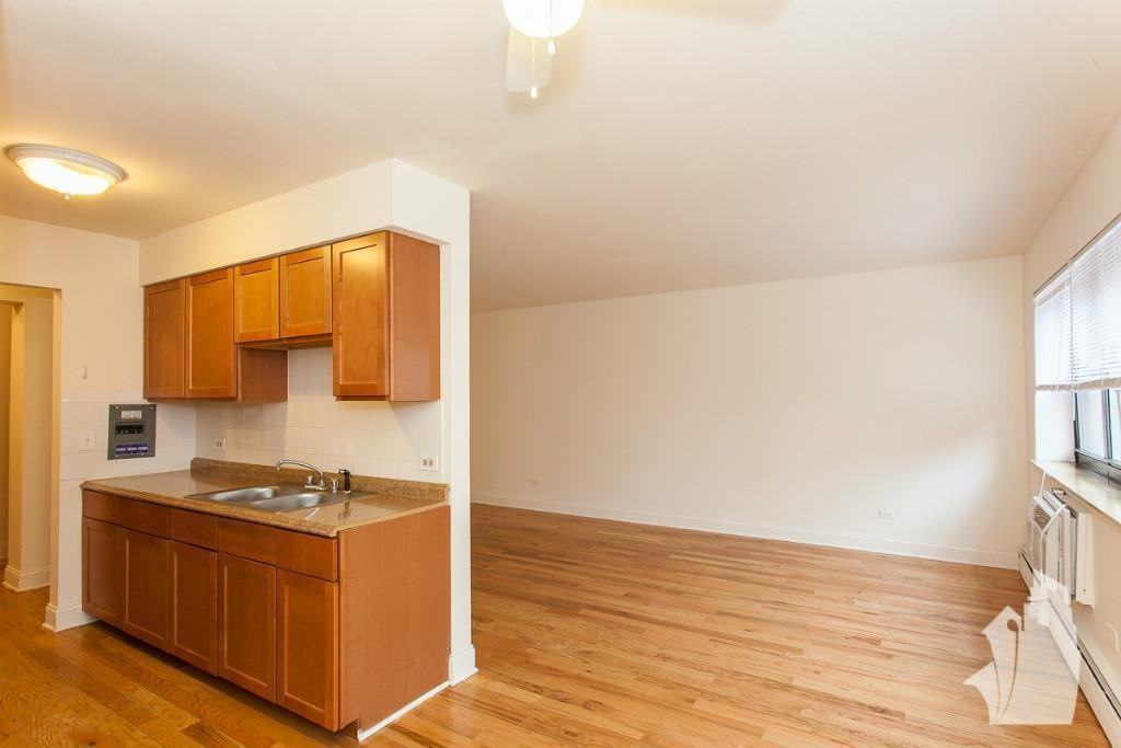 510 W Briar Pl #410 - Photo 5 of 8
