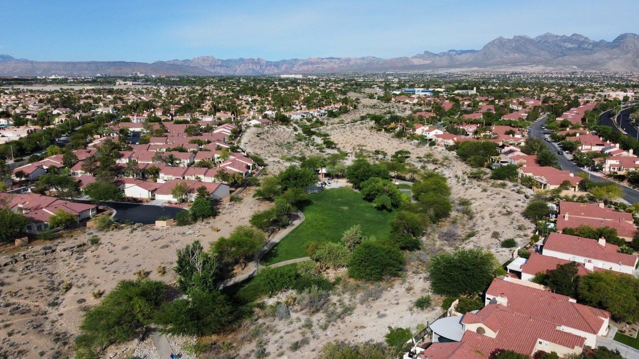 Calico Flower Ave - Photo 4 of 22