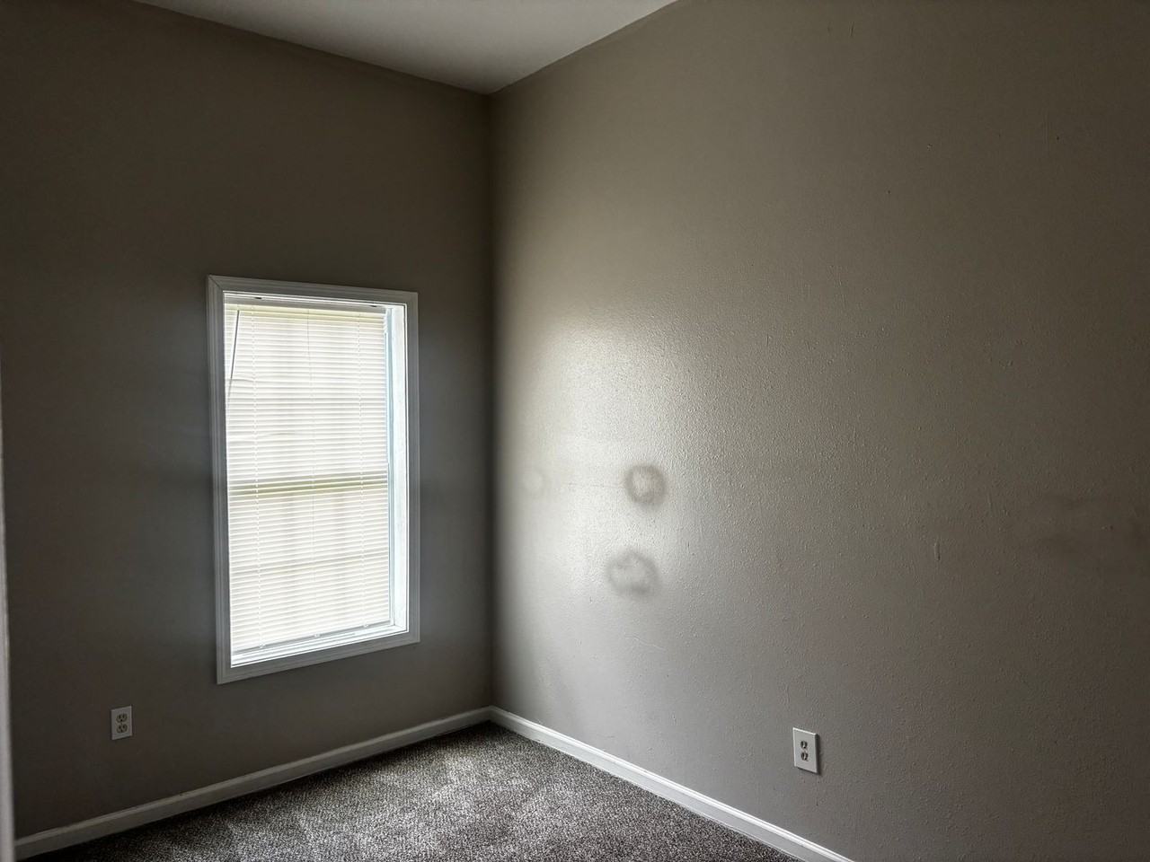 2281 Virginia St - Photo 5 of 21