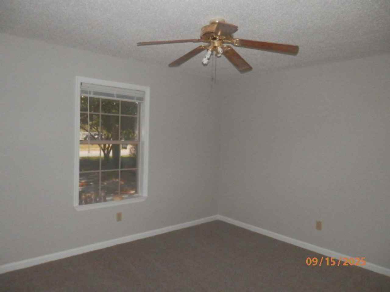 631 Windhaven Dr - Photo 5 of 11