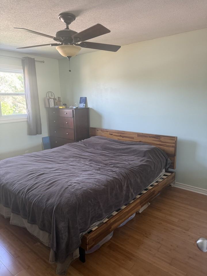 19 Alexander Street - Photo 5 of 28