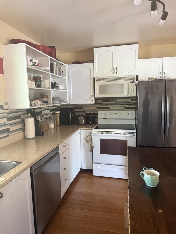 19 Alexander Street - Photo 3 of 28