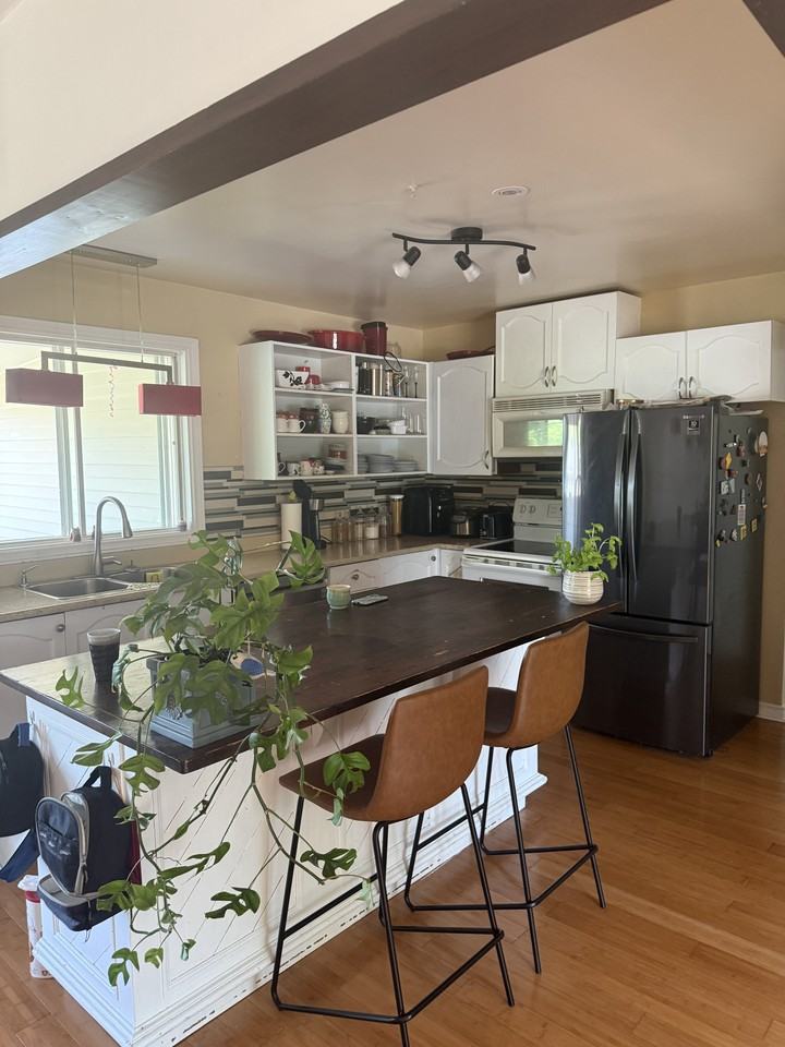 19 Alexander Street - Photo 4 of 28