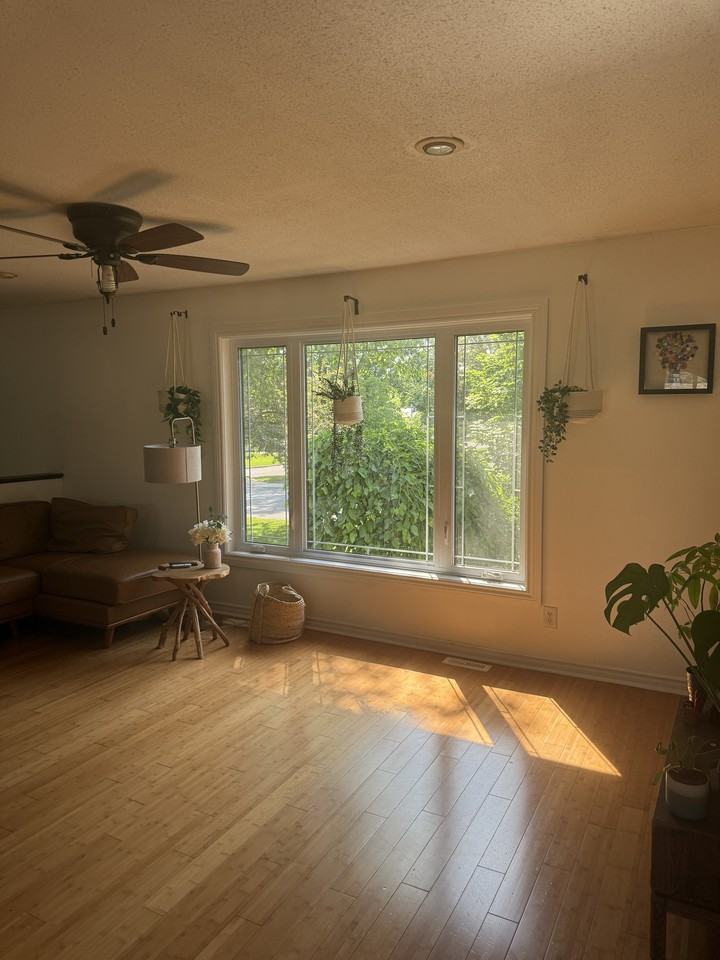 19 Alexander Street - Photo 2 of 28