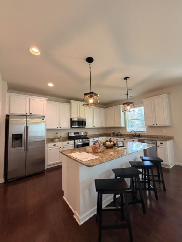 213 Golden Fluke Dr - Photo 4 of 37