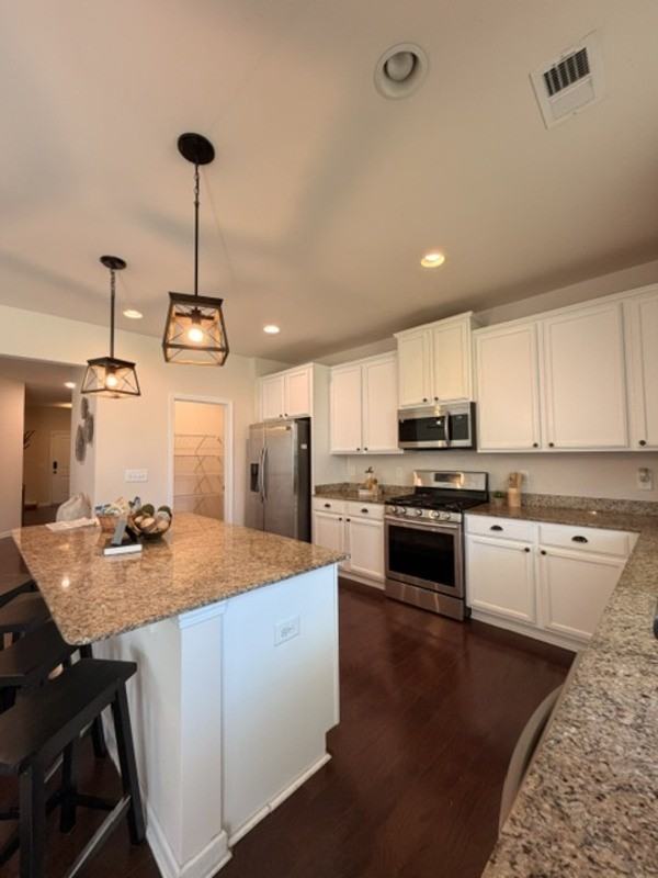 213 Golden Fluke Dr - Photo 5 of 37