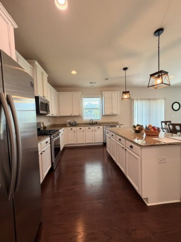 213 Golden Fluke Dr - Photo 7 of 37
