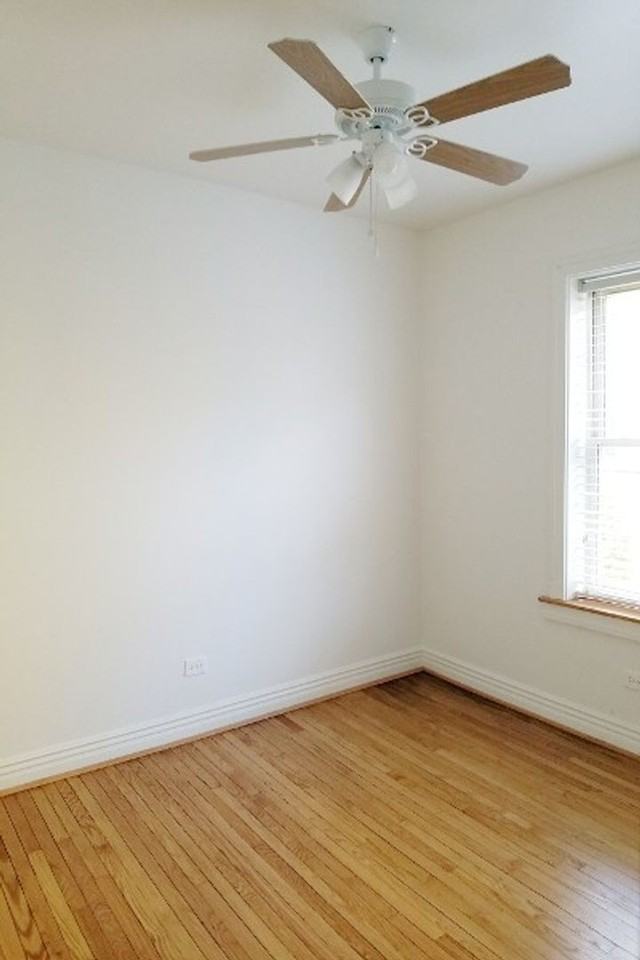 2024 W Foster Ave #3A - Photo 2 of 10