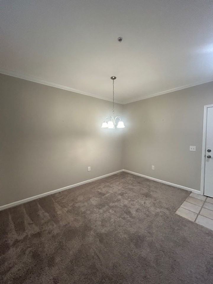 1704 Frederica Rd - Photo 3 of 14