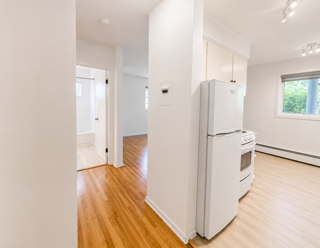 BRIGHT Updated Studio Apartment in Beautiful Mission Area! - Photo 3 of 9