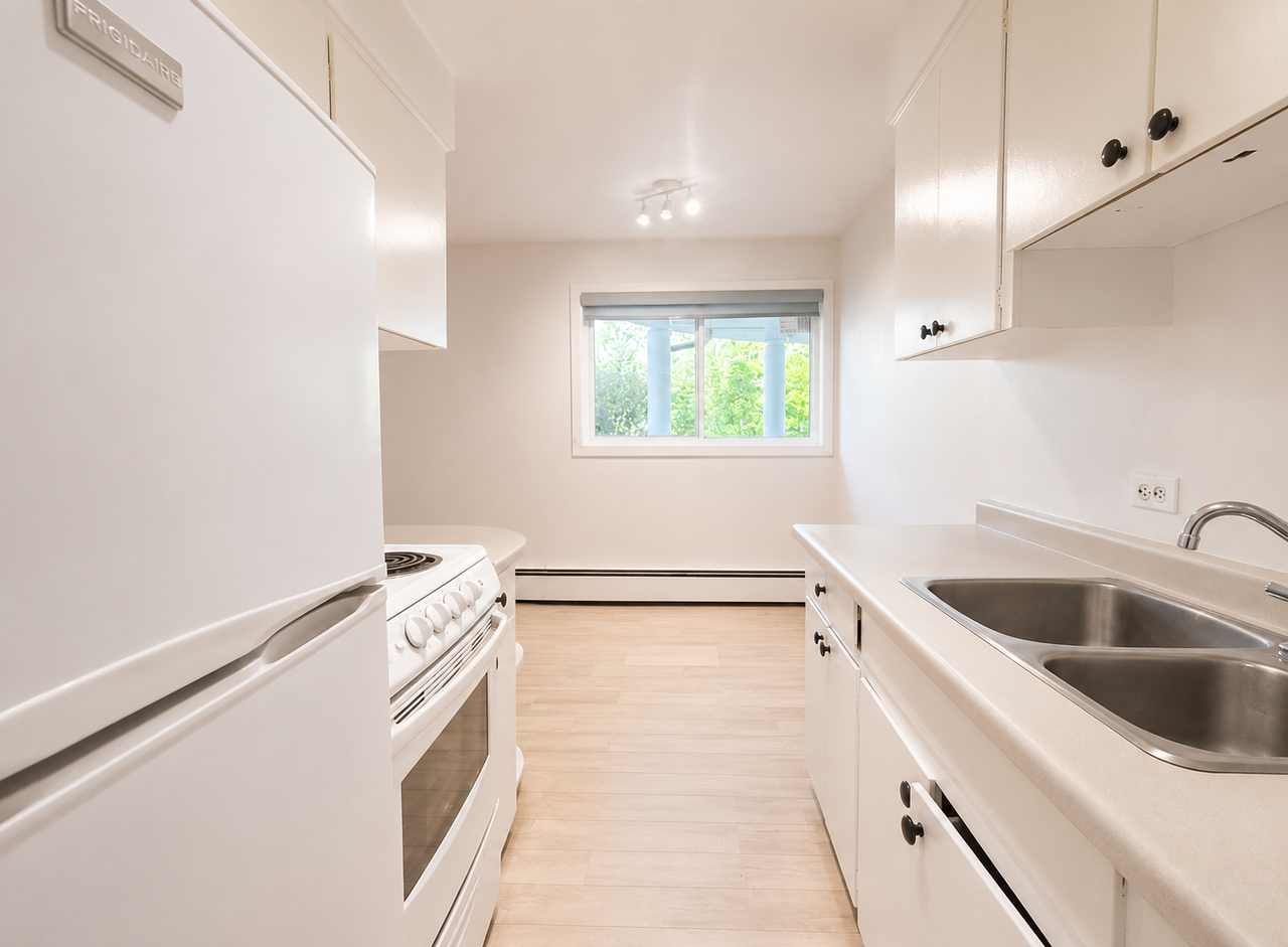 BRIGHT Updated Studio Apartment in Beautiful Mission Area! - Photo 4 of 9