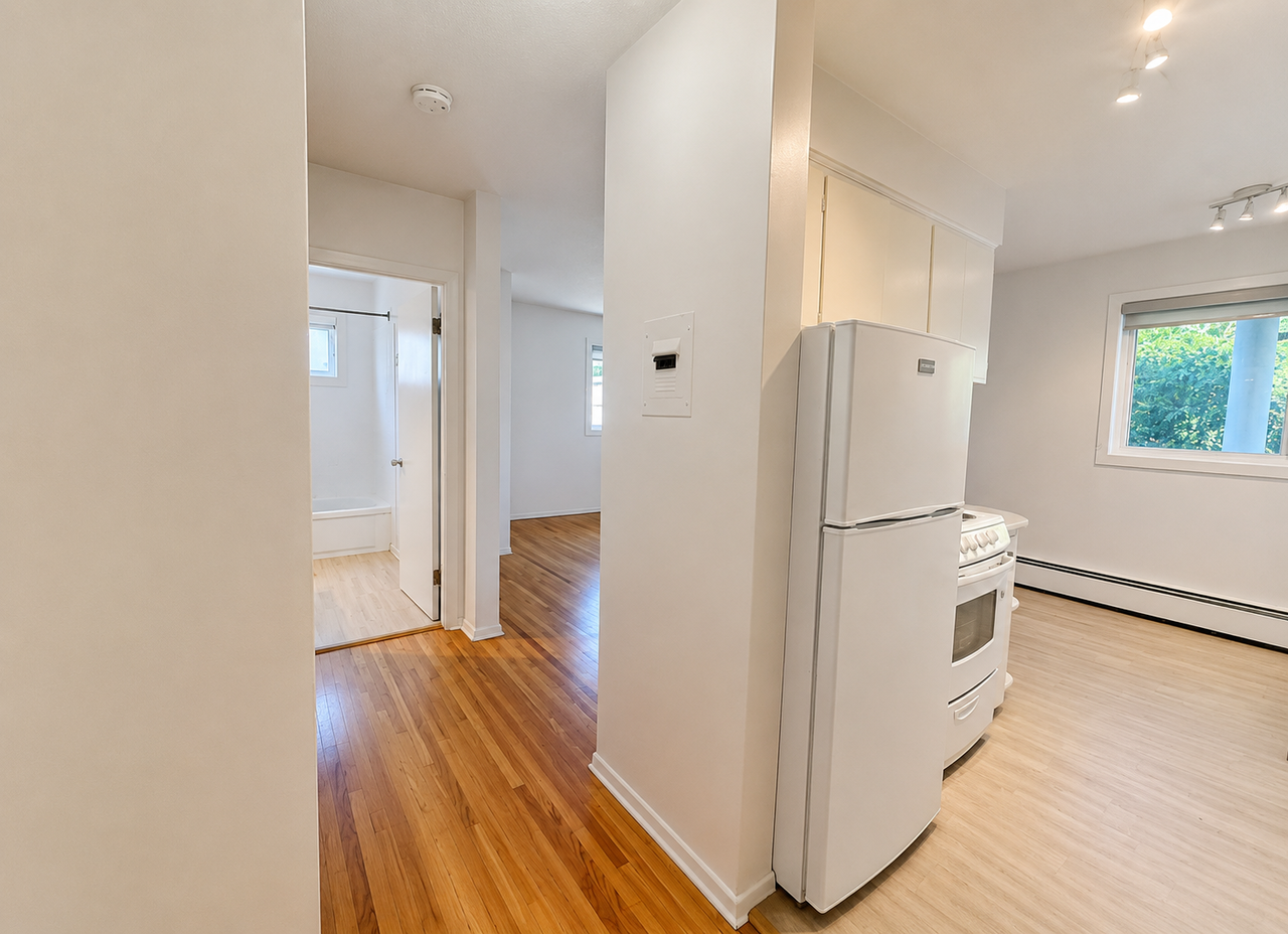BRIGHT Updated Studio Apartment in Beautiful Mission Area! - Photo 5 of 9