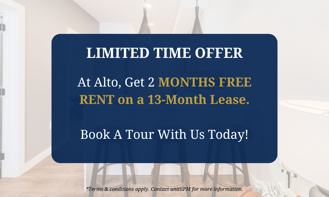 Alto - Photo 1 of 1