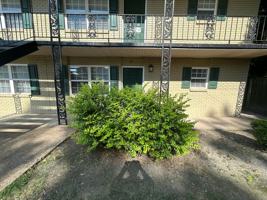 featured image of 250 N Washington Ave #23