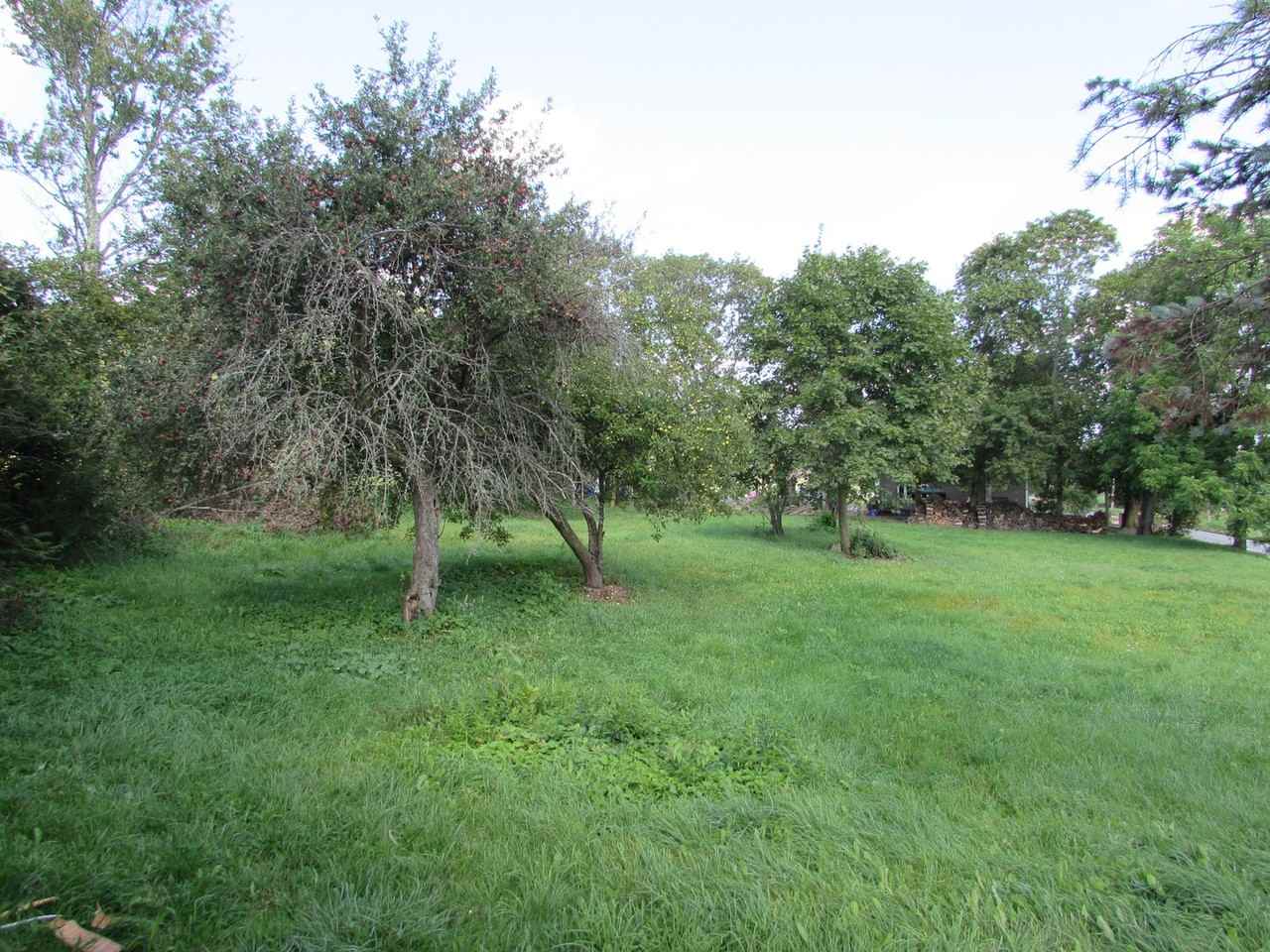 4865 Long Run Rd - Photo 5 of 22