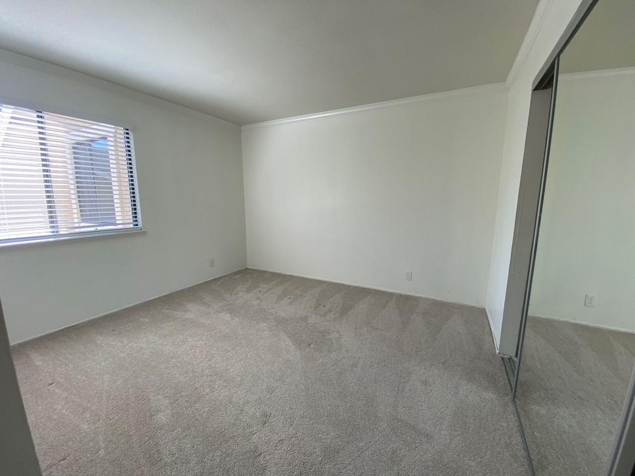 1057 Mazzone Dr - Photo 6 of 13