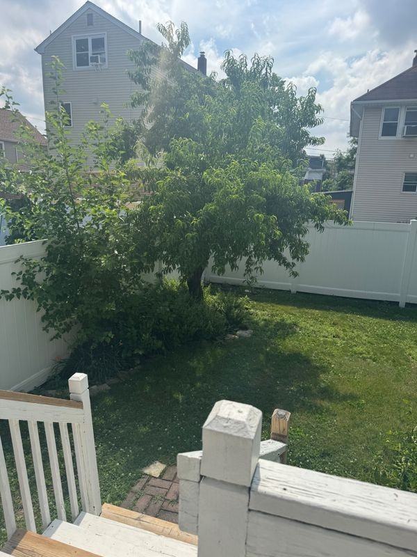295 Pine St - Photo 4 of 5