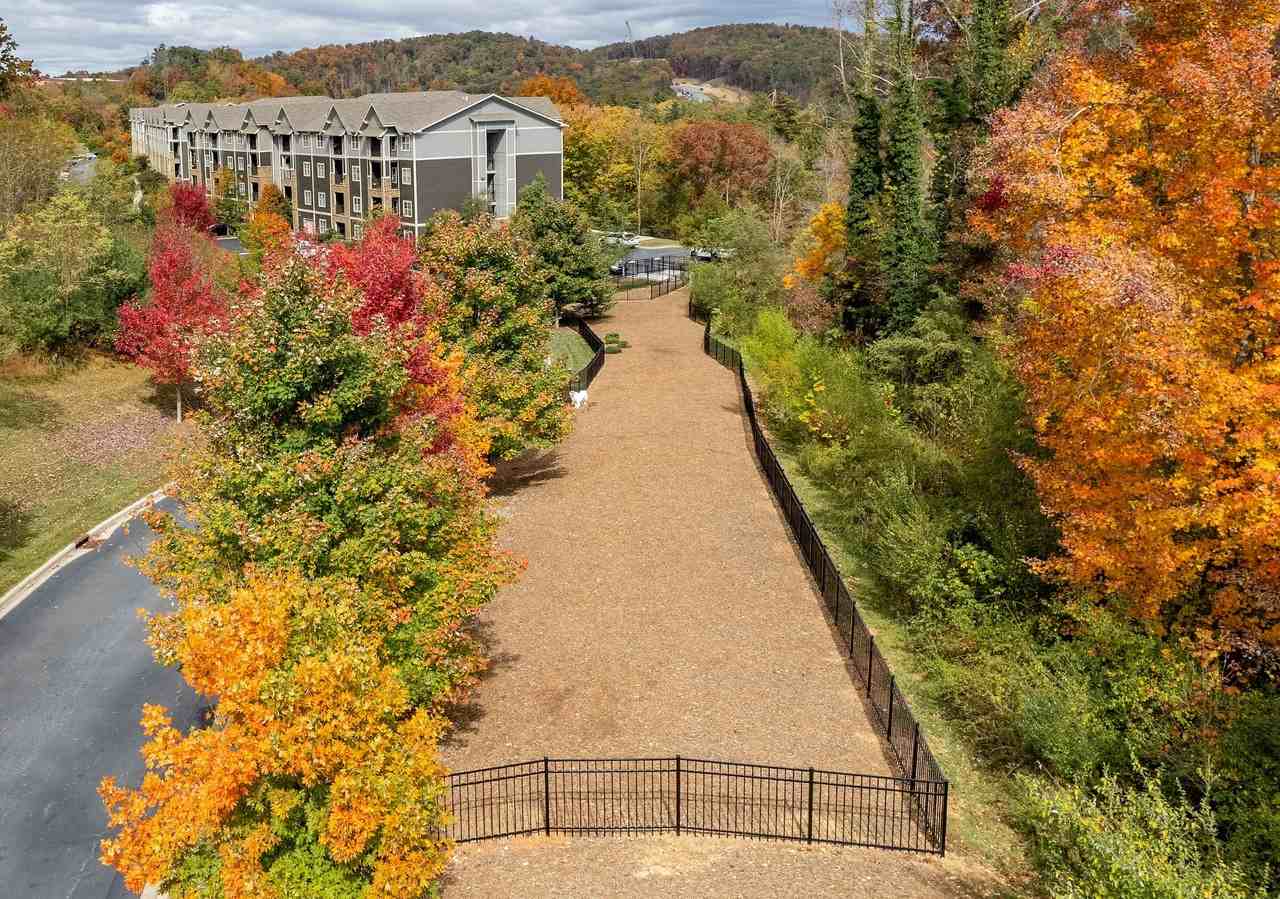 The Aventine Asheville - Photo 5 of 48