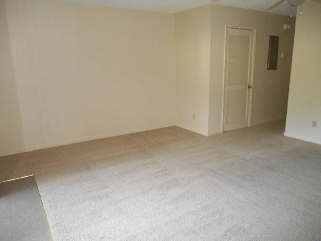905 W Pine St Apt A - Photo 3 of 14