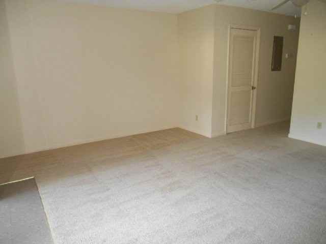 905 W Pine St Apt A - Photo 6 of 14