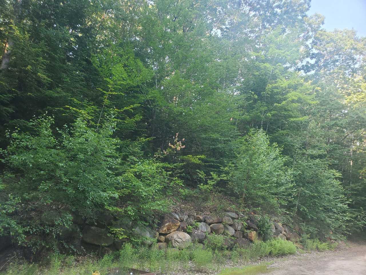 16 Cummings Hill Rd #1 - Photo 4 of 20