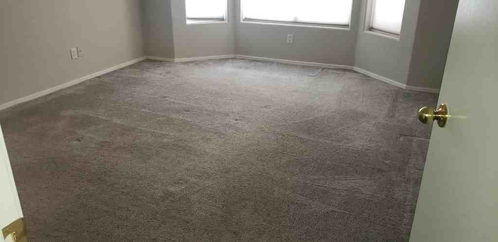 13223 W Desert Rock Dr - Photo 5 of 13