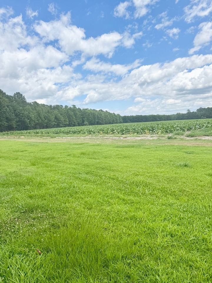 1280 Highway 139 - Photo 4 of 30
